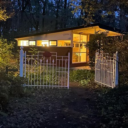 Ecolodge Bergzicht De Specht Luxe Boshuis Barchem ภายนอก รูปภาพ