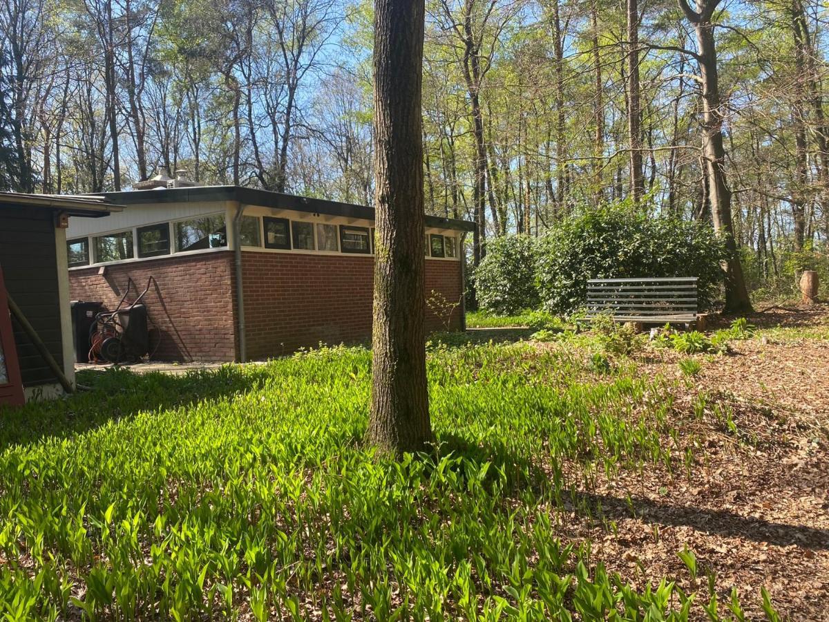 Ecolodge Bergzicht De Specht Luxe Boshuis Barchem ภายนอก รูปภาพ